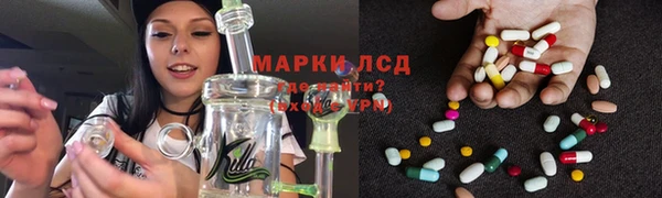гидра Алзамай