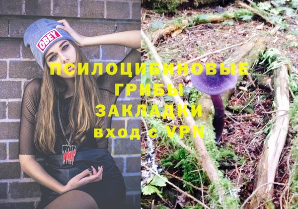 марки nbome Алексеевка