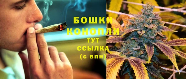 трава Саяногорск