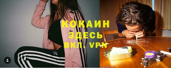 гидра Алзамай