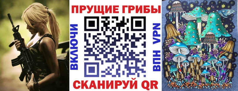 где продают наркотики  OMG рабочий сайт  Галлюциногенные грибы Psilocybine cubensis  Бабушкин 